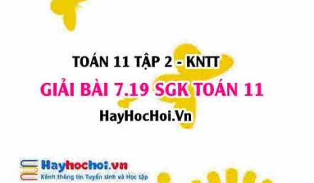 Bài 7.19 SGK Toán 11 Tập 2 Kết nối tri thức